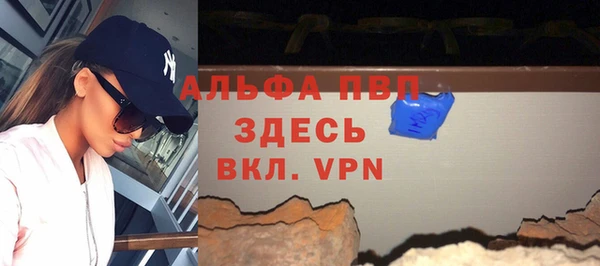 прущие грибы Рославль