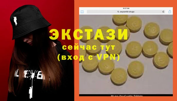 прущие грибы Рославль