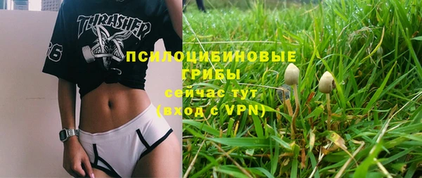 соль ск Россошь