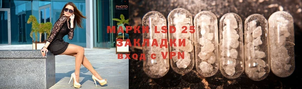 прущие грибы Рославль