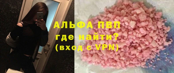 прущие грибы Рославль